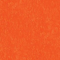 Dekor für Folien-Rollo Multifilm Vilnius 042