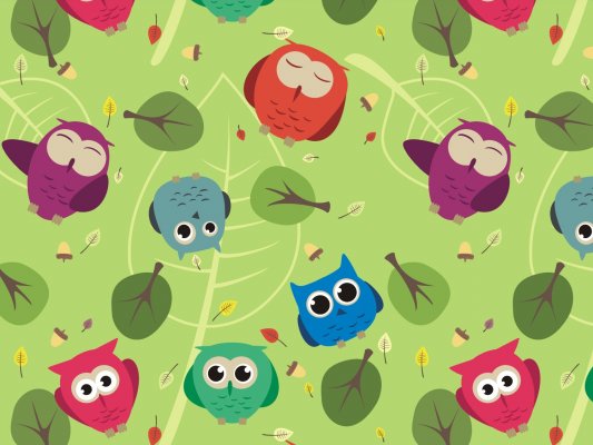 Dekor für Folien-Rollo Multifilm Oakland 130