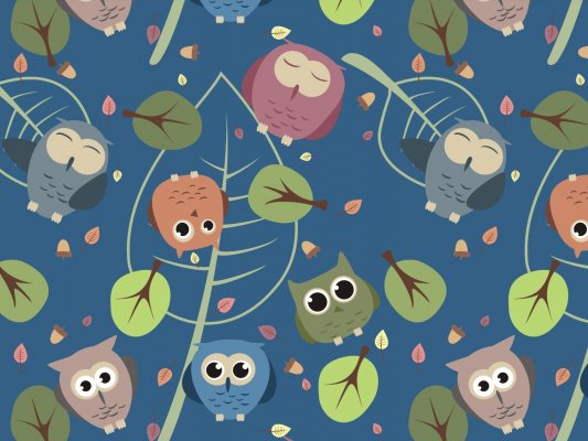 Dekor für Folien-Rollo Multifilm Oakland 150