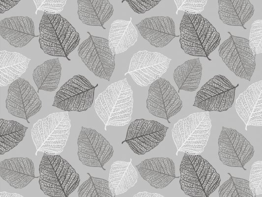 Dekor für Folien-Rollo Multifilm Venta 110