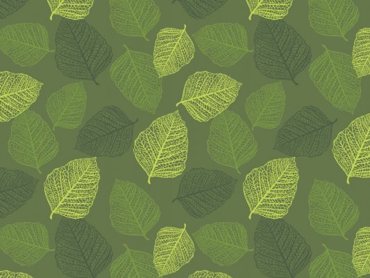 Dekor für Folien-Rollo Multifilm Venta 140